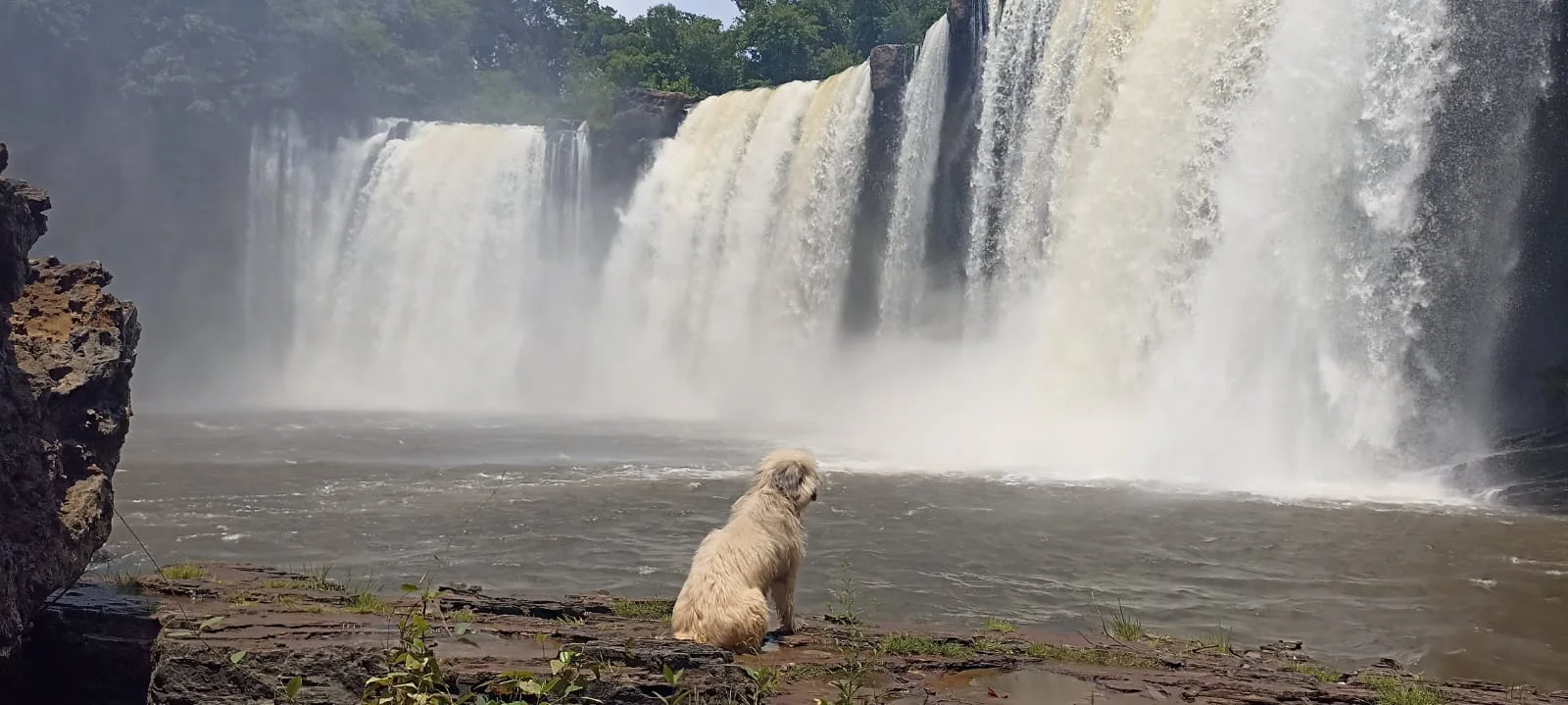 Cachoeira de São Romão — cachorro diante da queda.